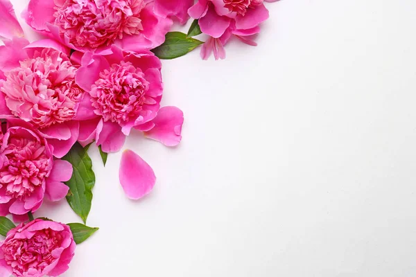 Beyaz arka planda güzel şakayık çiçekleri