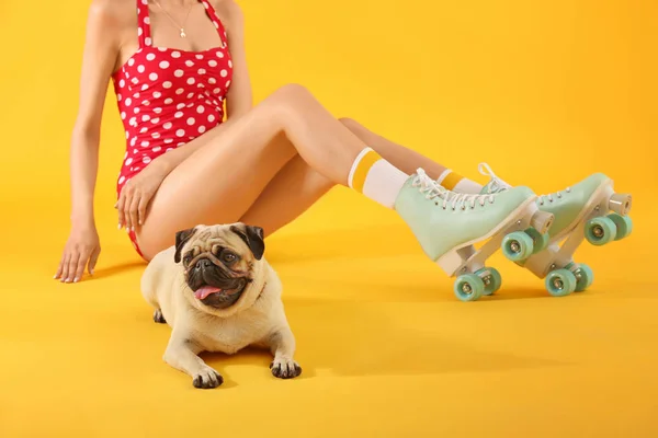Милий мопс собака і жінка в роликових ковзанах на кольоровому фоні — стокове фото