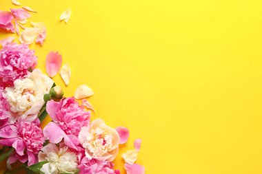 Renkli arka planda güzel şakayıklar