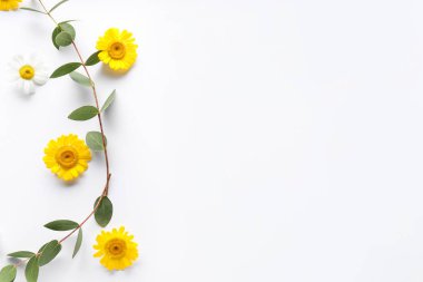 Beyaz arka plan üzerinde güzel çiçek açan çiçekler