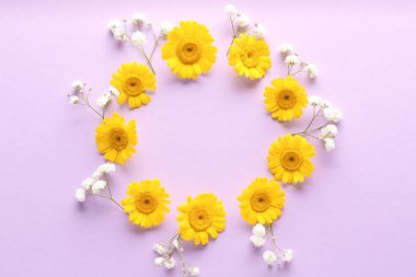 Güzel çiçek kompozisyon renk arka plan üzerinde