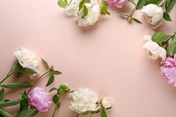 Beautiful fresh peony flowers on color background