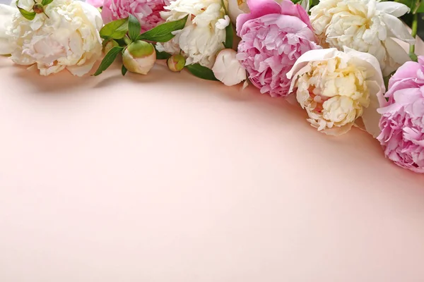Gyönyörű friss bazsarózsa virágok színes háttér — Stock Fotó