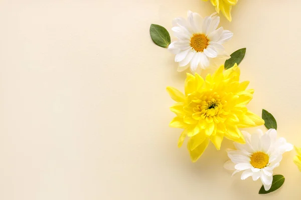 Hermosas flores en flor sobre fondo de color — Foto de Stock