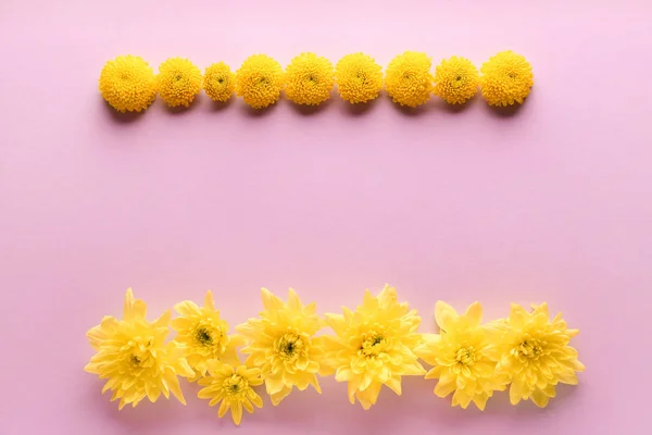 Hermosa composición de flores sobre fondo de color — Foto de Stock
