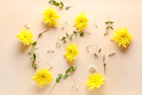 Mooie bloem samenstelling op kleur achtergrond — Stockfoto