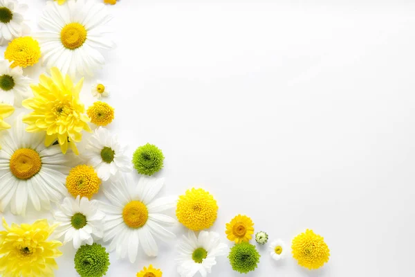 Beautiful flower composition on white background — Stock Photo, Image