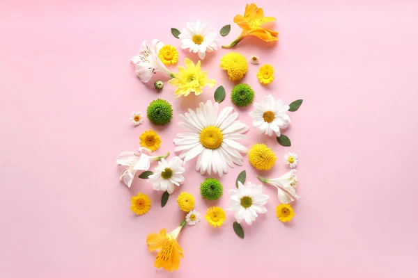 Beautiful flower composition on color background — Stock Photo, Image