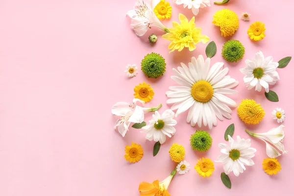 Mooie bloem samenstelling op kleur achtergrond — Stockfoto