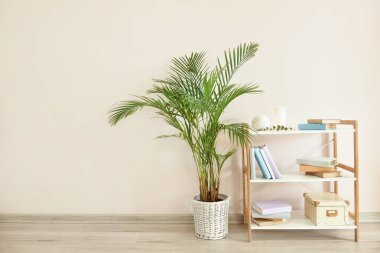 Modern raf ünitesi ve ışık duvarının yanındaki ev bitkisi