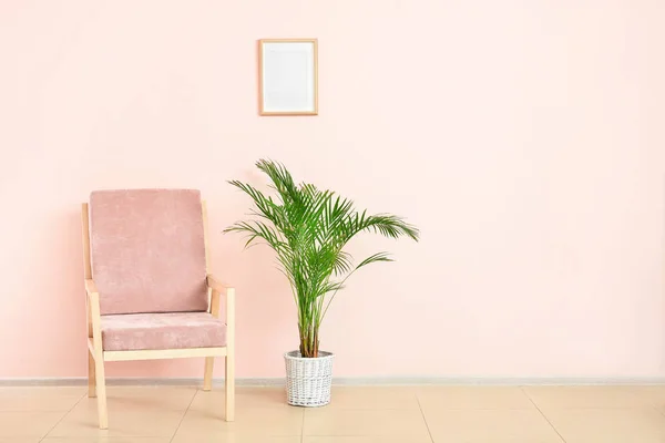 Modern armchair and houseplant near color wall — Stock Photo, Image