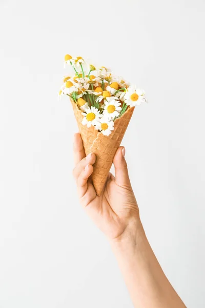 Female hand with chamomile flowers in wafer cone on light background — Stock Photo, Image