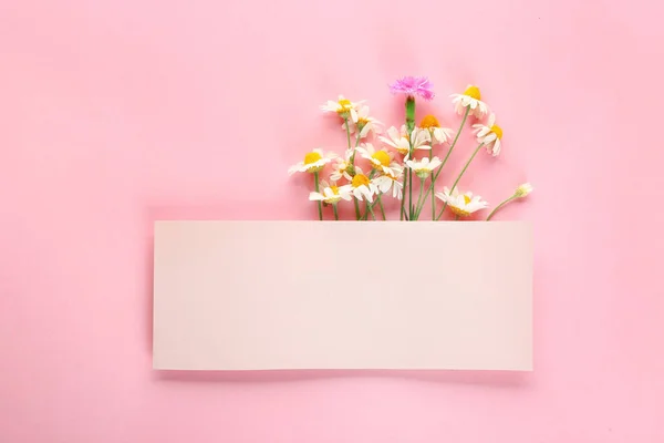 Empty card with fresh wild flowers on color background — Stock Photo, Image