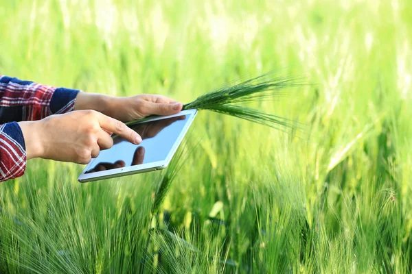 Agronomist with tablet computer in wheat field — Stock Photo, Image