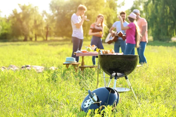 Friends at barbecue party outdoors — Stock Photo, Image