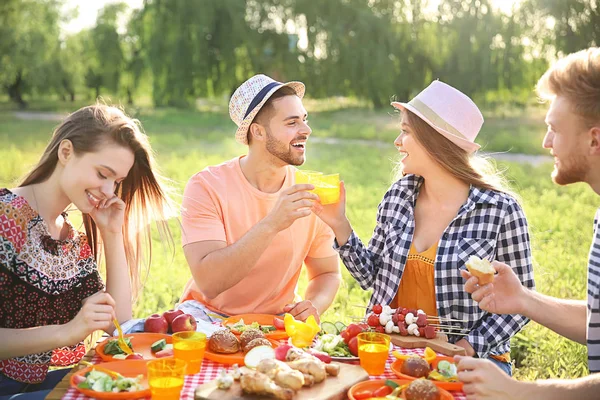 Amigos en el picnic en el día de verano —  Fotos de Stock