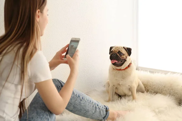 Beautiful young woman taking photo of cute pug dog at home — Stock Photo, Image