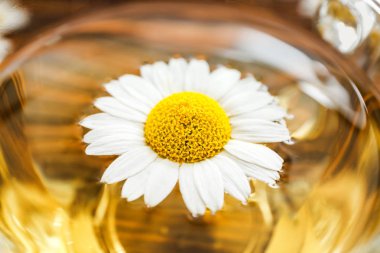 Sıcak papatya çayı fincan, closeup