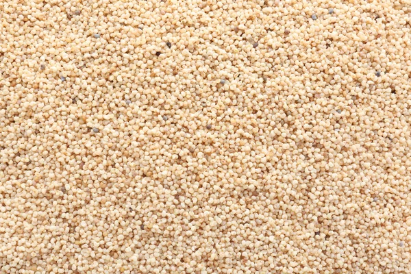 Many white poppy seeds as background — Stock Photo, Image