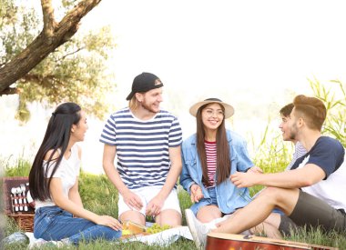 Parkta piknik üzerinde mutlu arkadaşlar
