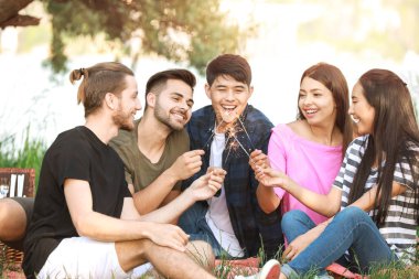 Parkta piknikte kıvılcımlı mutlu arkadaşlar