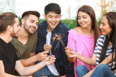 Parkta piknikte kıvılcımlı mutlu arkadaşlar