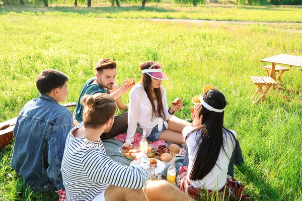 Amigos felizes no piquenique no parque — Fotografia de Stock