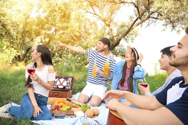 Amigos felizes no piquenique no parque — Fotografia de Stock