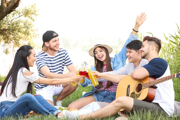 Amigos felizes no piquenique no parque — Fotografia de Stock