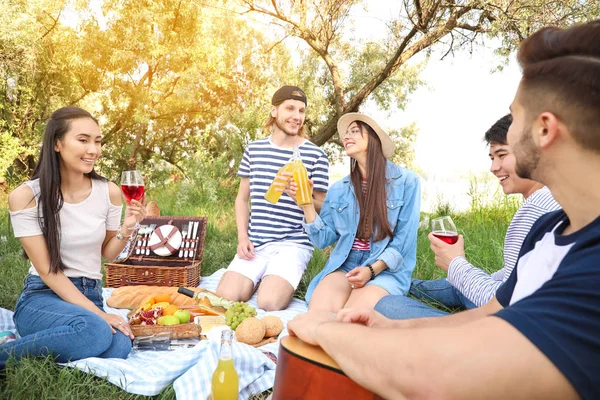 Amigos felizes no piquenique no parque — Fotografia de Stock