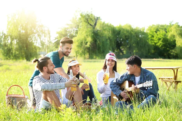 Happy friends on picnic in park — Stock Photo, Image