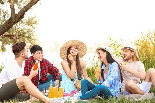 Happy friends on picnic in park