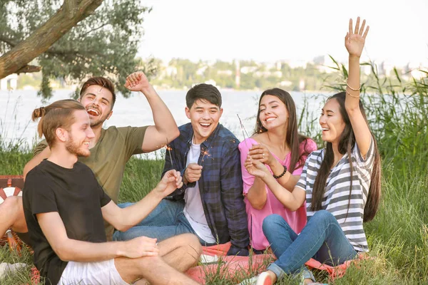 Amigos felizes com faíscas em piquenique no parque — Fotografia de Stock