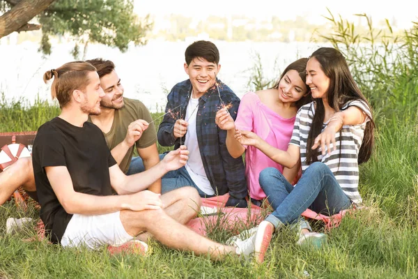 Happy friends with sparklers on picnic in park — Stock Photo, Image