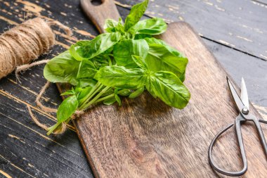 Taze fesleğen, makas ve masa üzerinde iplikler ile Ahşap tahta
