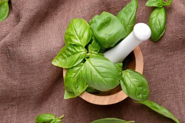 Masada taze fesleğen li harç