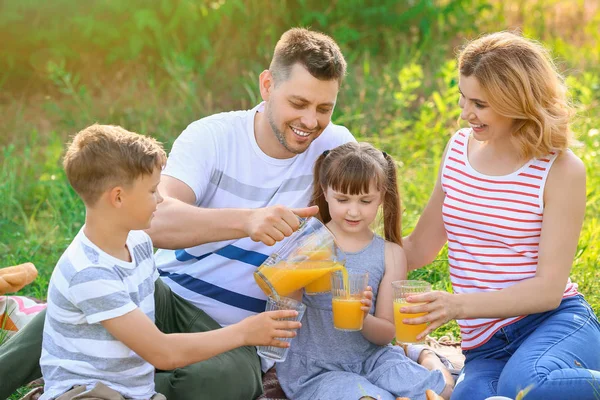 Happy family on summer picnic in park — Stock Photo, Image