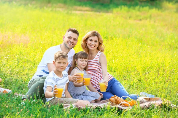 Família feliz no piquenique de verão no parque — Fotografia de Stock