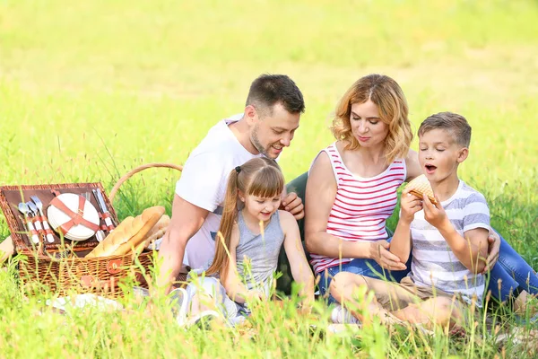 Famiglia felice sul picnic estivo nel parco — Foto Stock