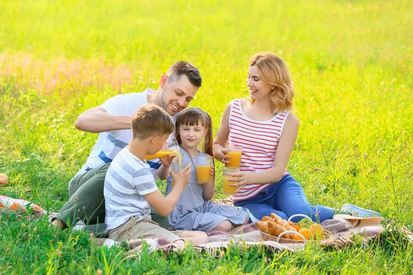 Famiglia felice sul picnic estivo nel parco — Foto Stock