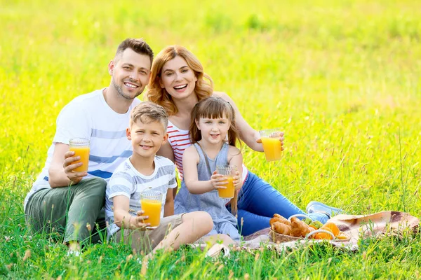 Happy family on summer picnic in park — Stock Photo, Image