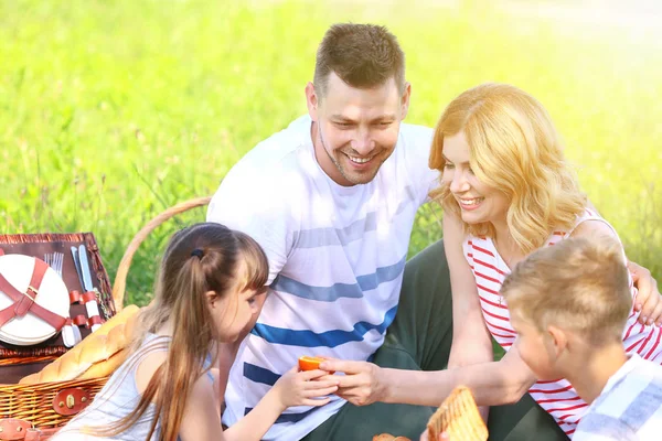 Família feliz no piquenique de verão no parque — Fotografia de Stock