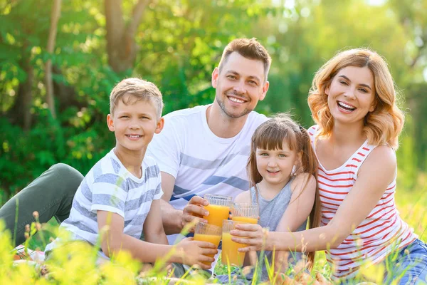 Happy family on summer picnic in park — Stock Photo, Image