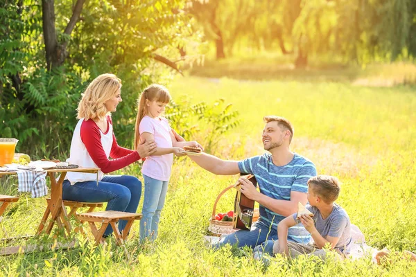 Щаслива сім'я на літньому пікніку в парку — стокове фото