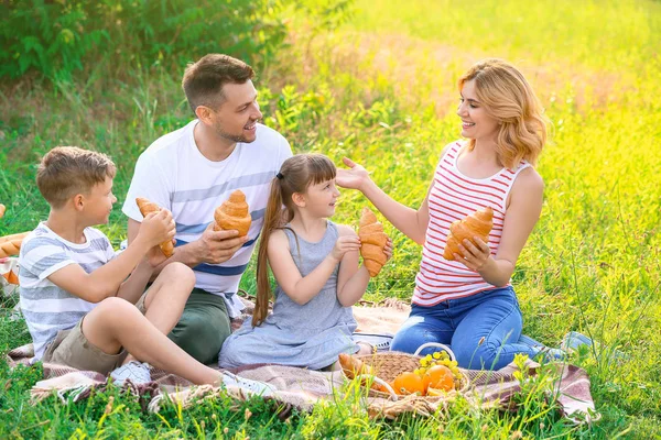 Família feliz no piquenique de verão no parque — Fotografia de Stock