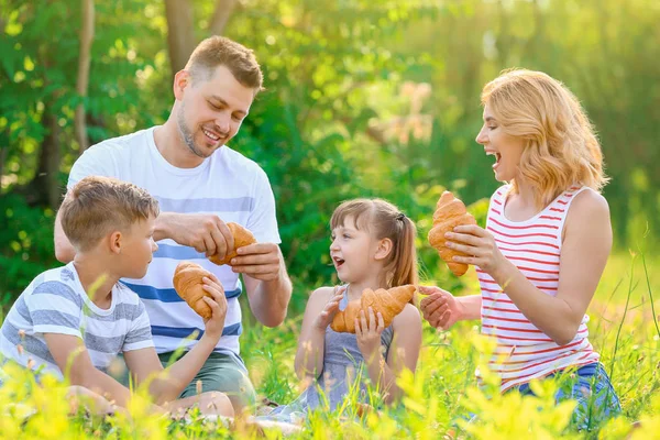 Happy family on summer picnic in park — Stock Photo, Image