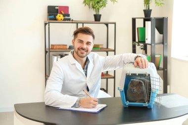 Klinikte sevimli kedi ile veterinerlik
