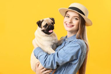 Renkli arka planda sevimli pug köpek ile güzel genç kadın