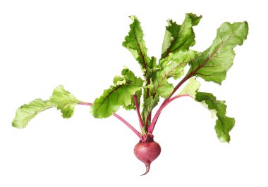 beyaz zemin üzerine taze pancar