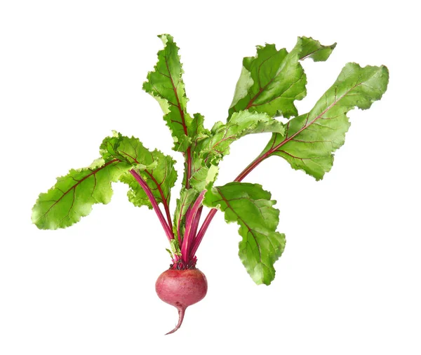 Fresh beet on white background — Stock Photo, Image